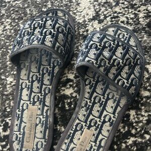 Velvet Dior Slides